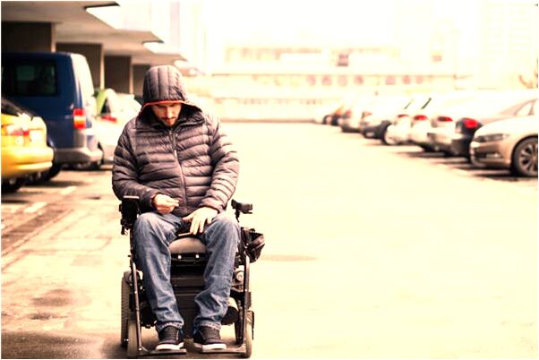 夢到了貓拉粑粑裹在被子裡有什麼預兆_周公解夢官網