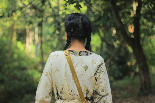 夢到了大辮子有何寓意_周公解夢