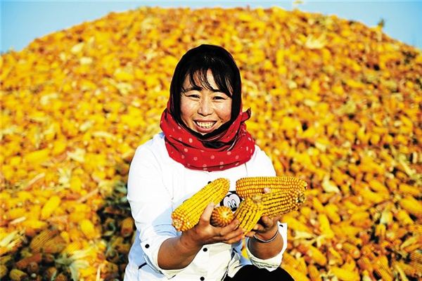 夢見收穫:糧食豐收,前途大好_周公解夢