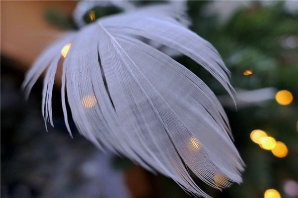 夢見羽絨會怎麼樣_周公解夢