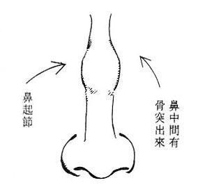 女人面相算命圖解(5)