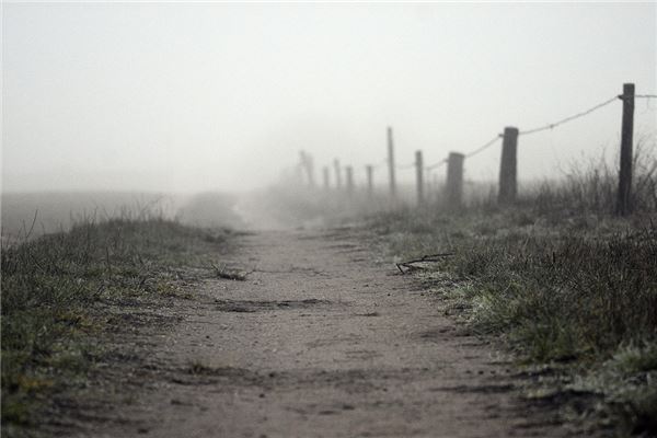 夢到崎嶇小路是什麼預兆_周公解夢