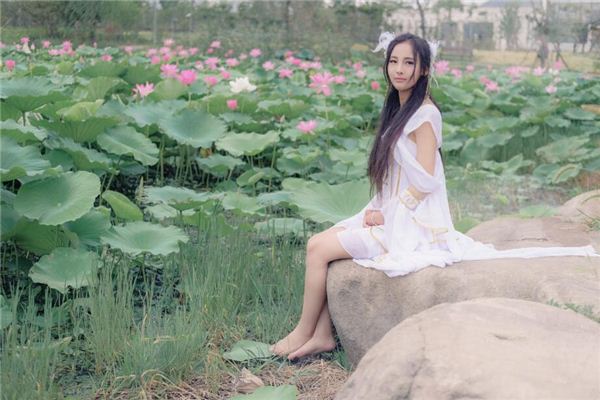 兔年出生的人的命運_十二生肖