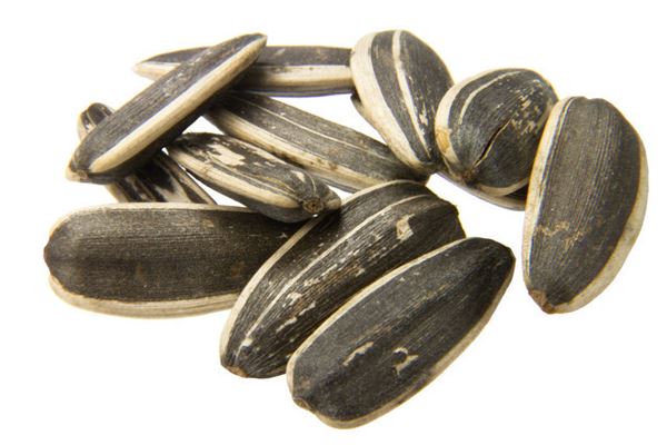 夢到吃瓜子_周公解夢