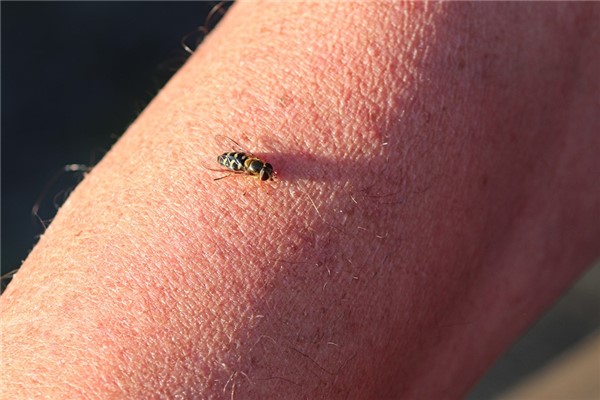 夢到長汗毛意味著什麼_周公解夢