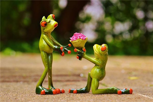 夢到被表白代表什麼_周公解夢