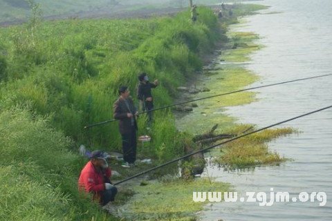 夢見看到別人釣魚