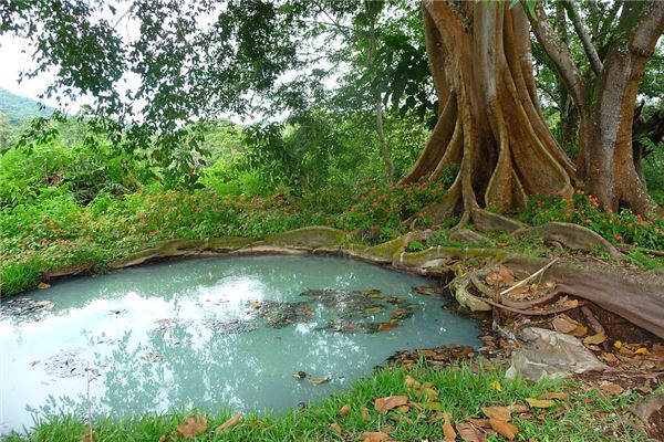 夢到了倒污水有什麼含義_周公解夢