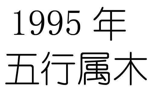 1995年五行屬什麼？1995年出生是什麼命？