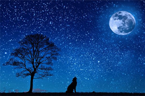 狗是什麼時辰？_十二生肖