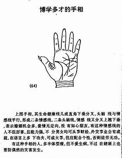 博學多才的手相圖解