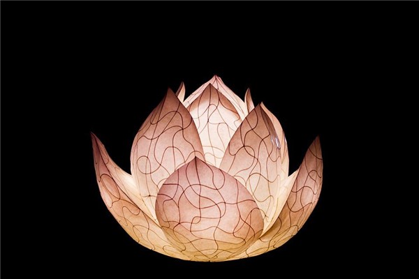 夢到蓮花燈是什麼意思_周公解夢