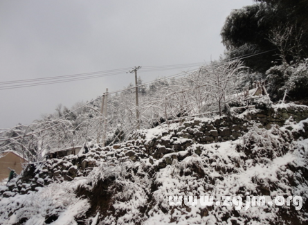 夢見山區里下雪