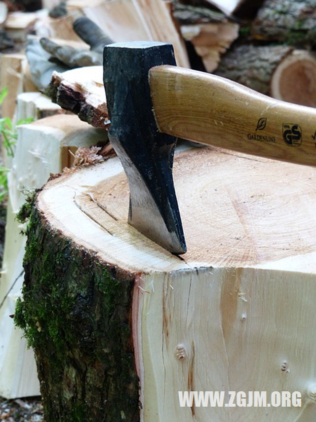 夢見別人房屋推倒重建_周公解夢夢到別人房屋推倒重建是什麼意思_做夢夢見別人房屋推倒重建好不好_周公解夢官網