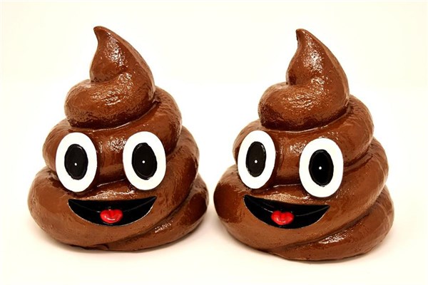 夢到拉好多屎是啥預兆_周公解夢