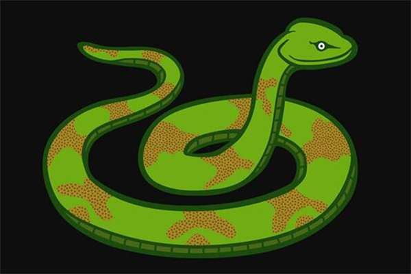夢到了蛇鑽進身體意味著什麼_周公解夢