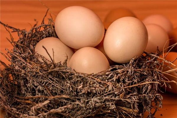 女人夢見一窩雞蛋_周公解夢