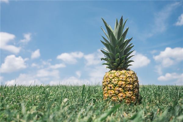 夢見鳳梨是什麼意思_周公解夢
