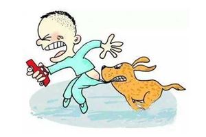 夢見自己在外婆家門口被外婆家的狗咬_周公解夢