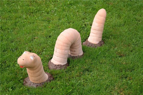 夢見蚯蚓預示什麼_周公解夢