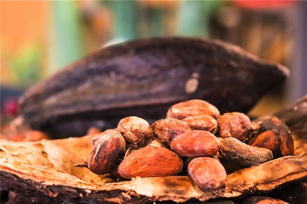 夢到了豆豉會有什麼預兆_周公解夢