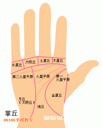 手相圖解大全：11、伸手看掌丘奧秘_看相大全