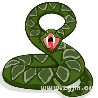 A血型的屬蛇人_血型性格