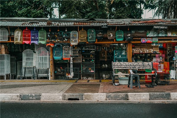夢見小賣店啥意思_周公解夢