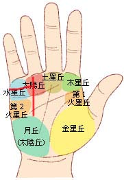 手相圖解大全：21、剖析嫁入豪門的掌上玄機_看相大全