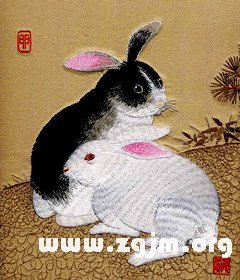 1999年屬兔的人2016年運程_生肖運勢