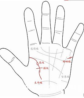 什麼樣的手相，出外會有意外之災？