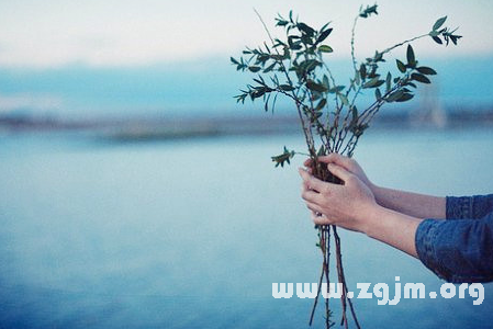 增加職場人氣的小技巧_十二星座