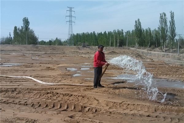 夢見灌溉 澆水 澆地_周公解夢夢到灌溉 澆水 澆地是什麼意思_做夢夢見灌溉 澆水 澆地好不好_周公解夢官網