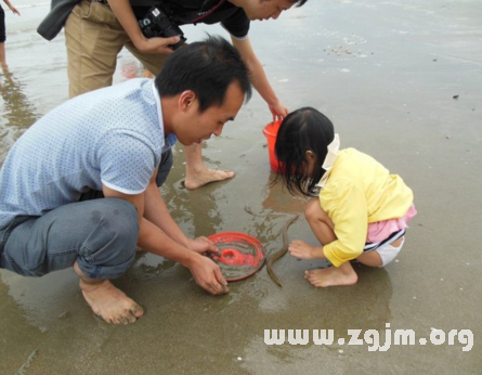 夢見抓鱔魚