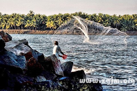 夢見投網得魚