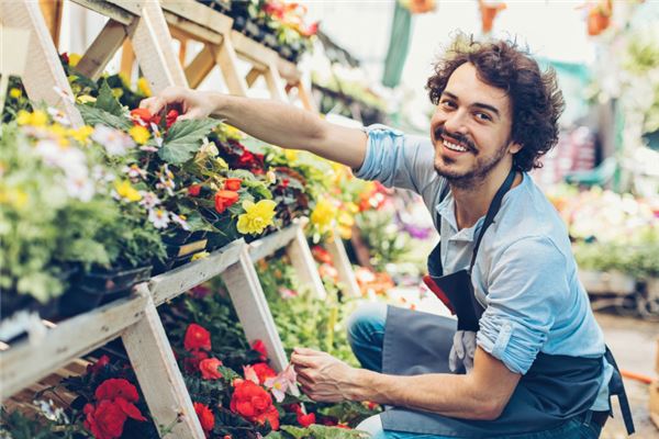 屬鼠男人事業心與性格_十二生肖