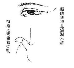 女人相學——命運相