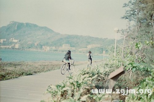 最喜歡浪跡天涯的星座排行榜_十二星座
