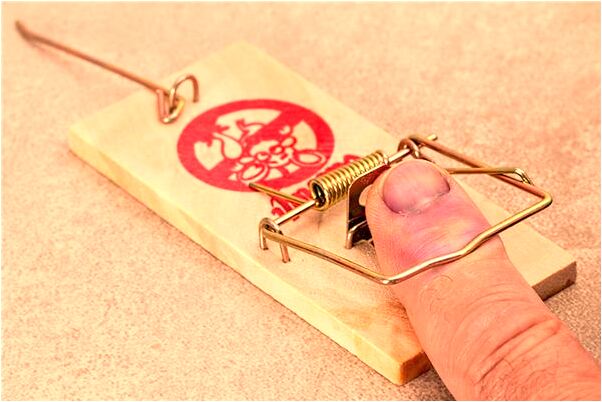夢見斷了尾巴的大蛇神有什麼含義_周公解夢官網