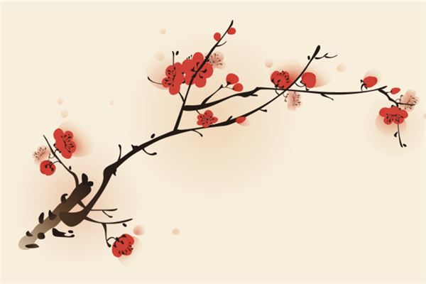夢見梅花開滿枝頭_周公解夢