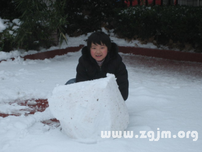 夢見地上都是雪