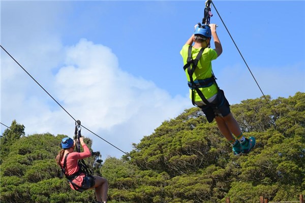 夢到了滑索代表著什麼_周公解夢