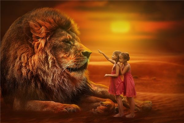 孕婦夢見獅子很溫順_周公解夢 孕婦夢見獅子很溫順是什麼意思_孕婦夢見獅子很溫順好不好_周公解夢官網