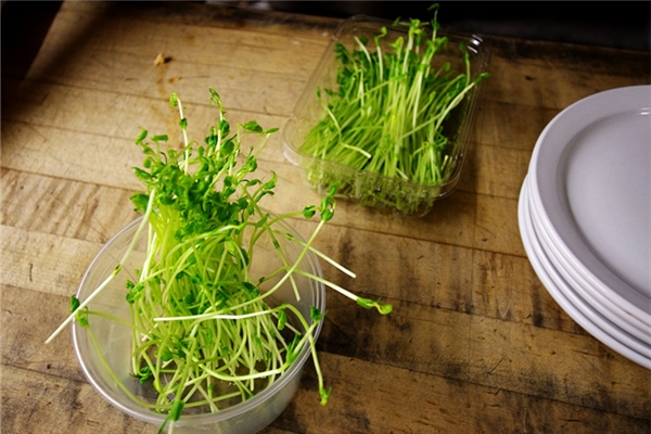 夢見送老公豆牙好不好_周公解夢