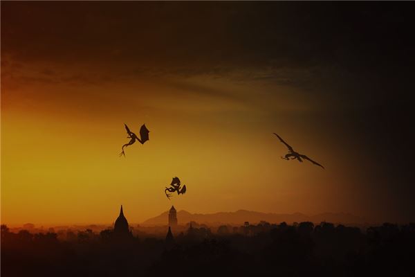 夢見龍飛上天_周公解夢