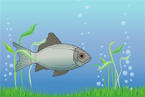夢見挖魚腥草有什麼寓意嗎?_周公解夢