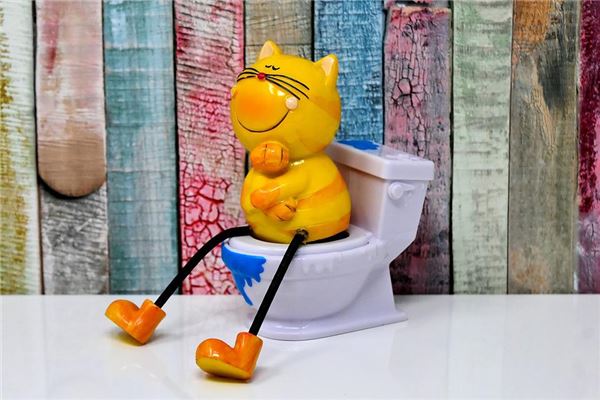 夢到蹲坑代表著什麼_周公解夢