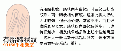 手相圖解大全：13、指紋類型全分析_看相大全