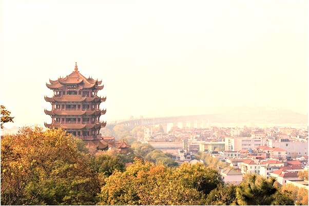 夢到騎腳踏車旅遊是什麼預兆_周公解夢官網