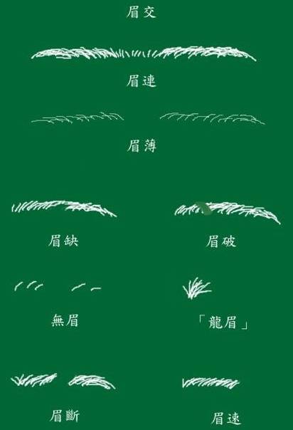 眉毛看相算命圖解 眉毛面相解析你一生的運勢